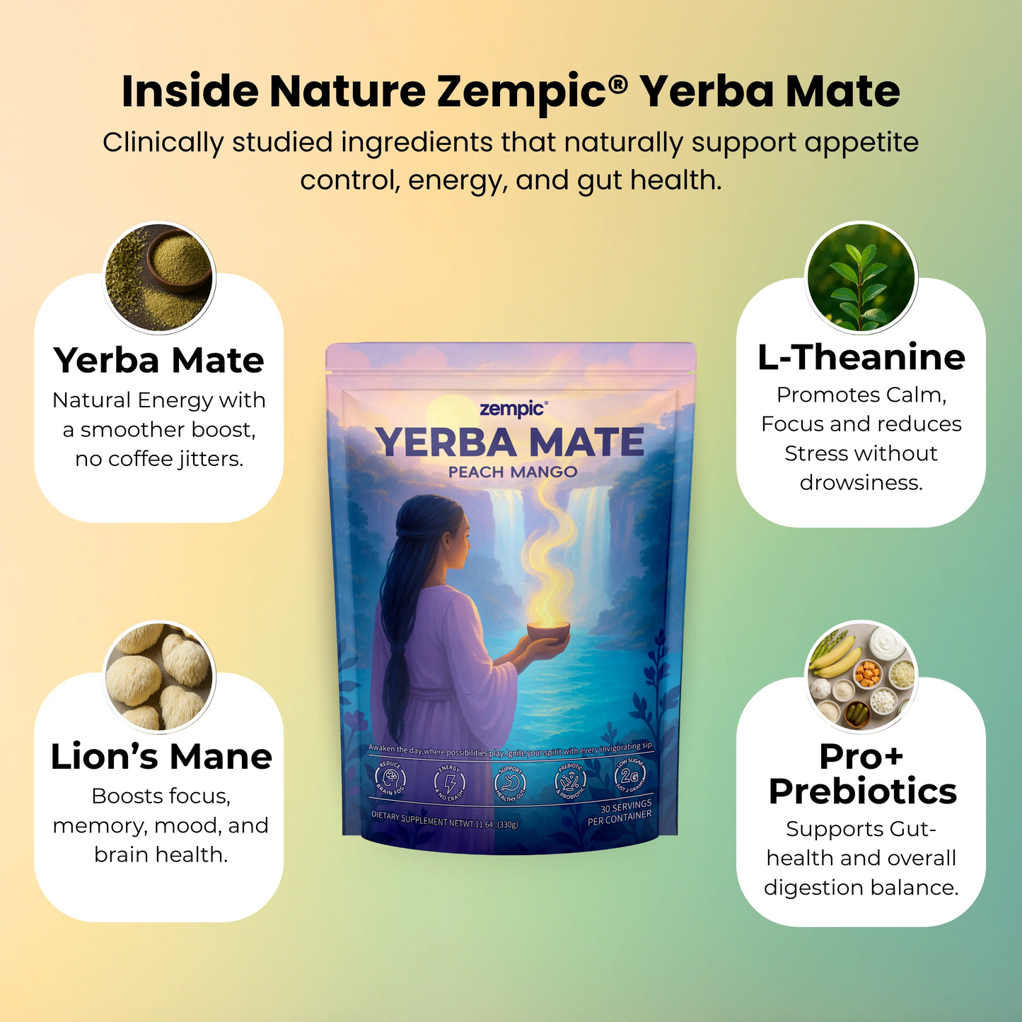 Zempic® - Yerba Mate Tea Mix